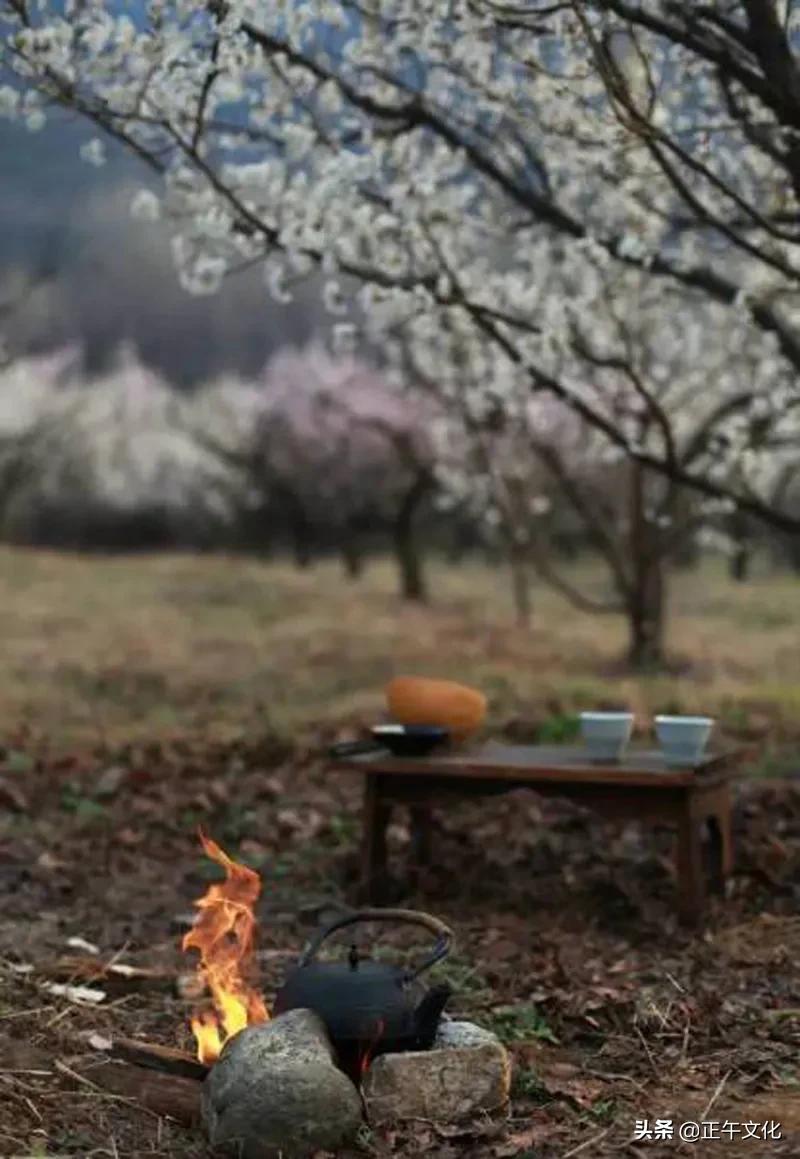 隐居终南山小龙女,一人隐居生活