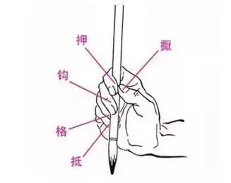 正确的执笔方式,如何执笔是准确的