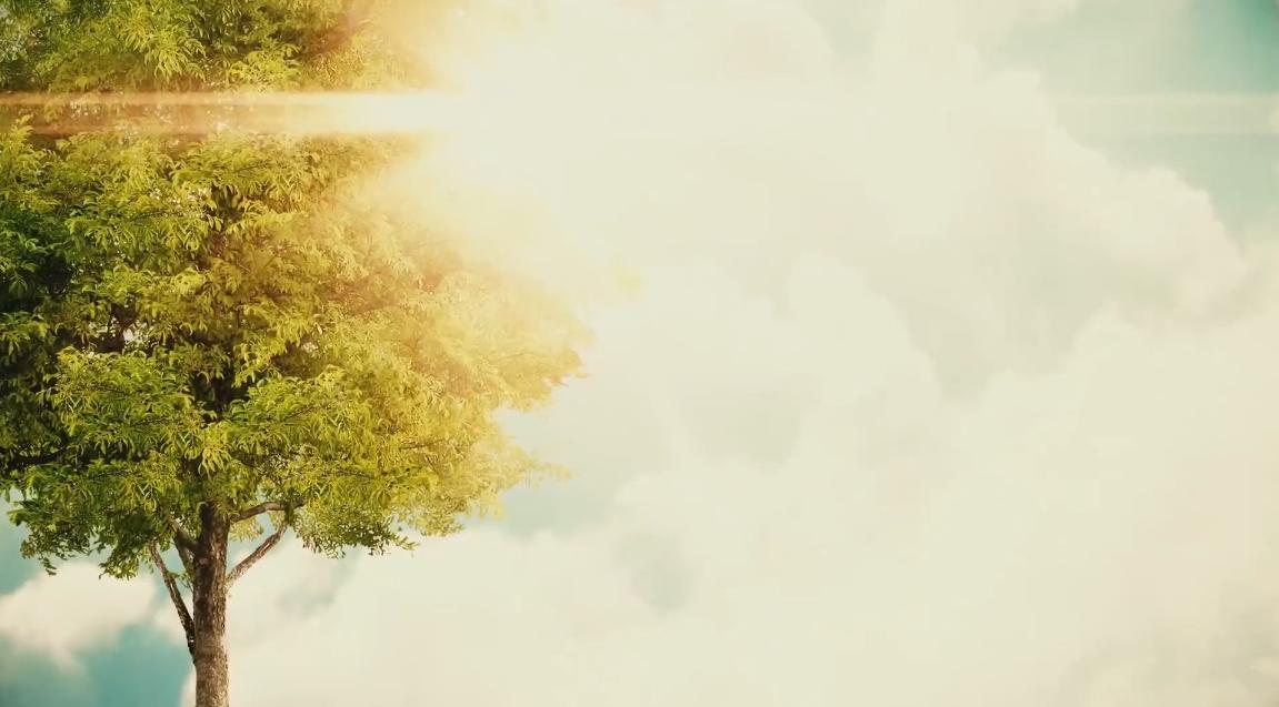 如果地球上100年不下雨怎么办,如果未来地球100年一直下雨会怎样