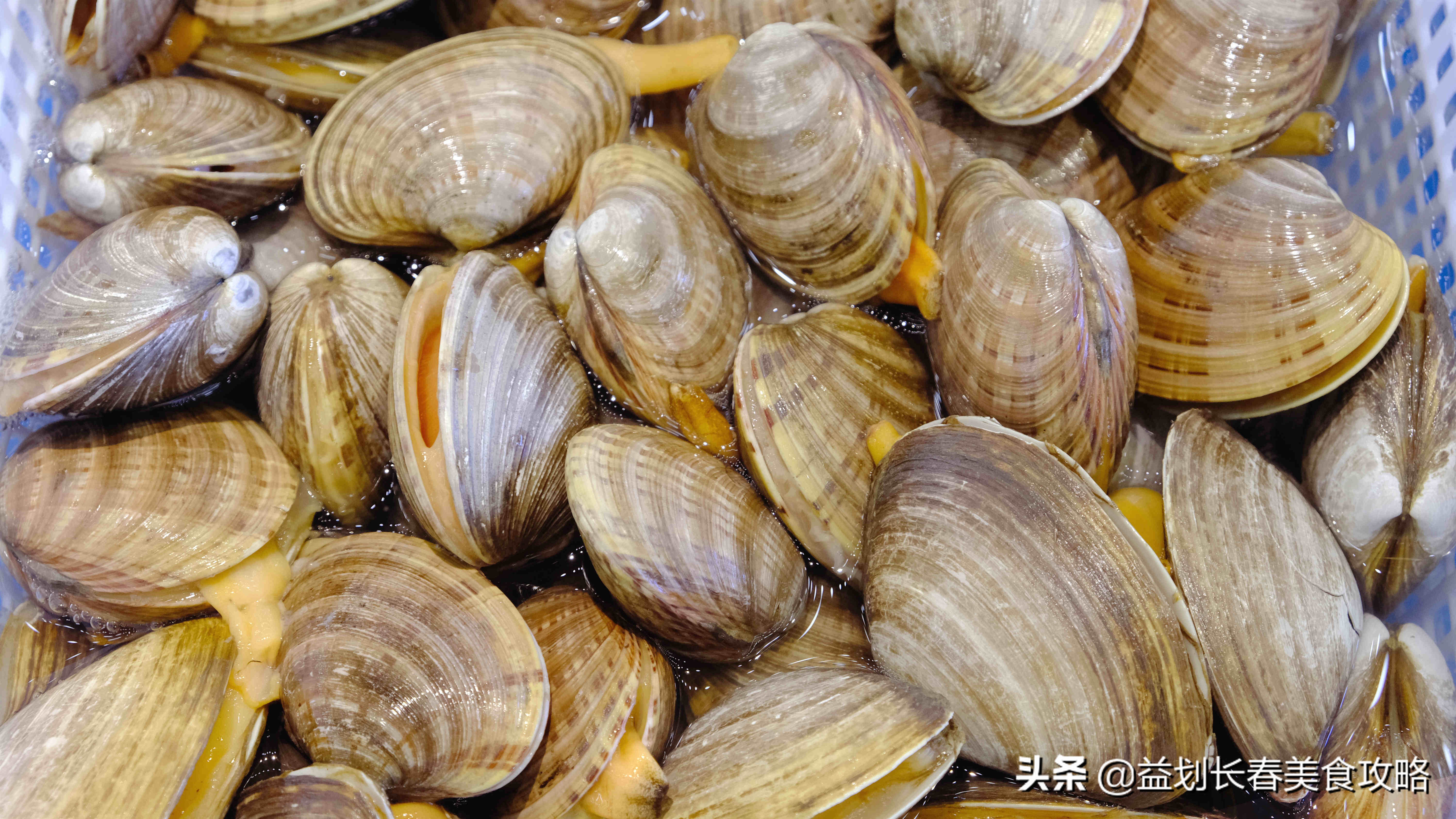 北京海鲜自助梭子蟹,海鲜自助的活梭子蟹