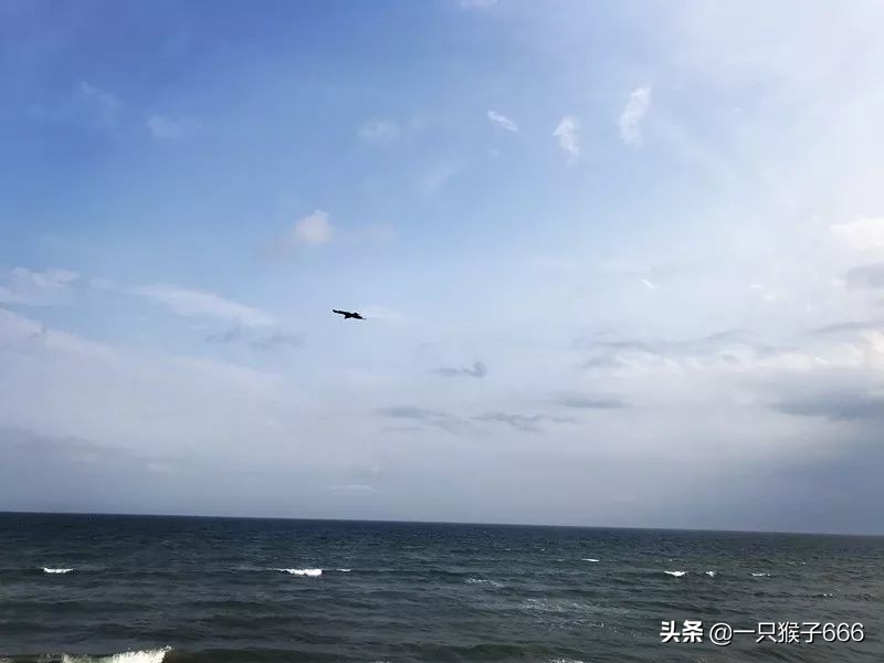 日本镰仓旅游攻略学生,日本镰仓自由行攻略