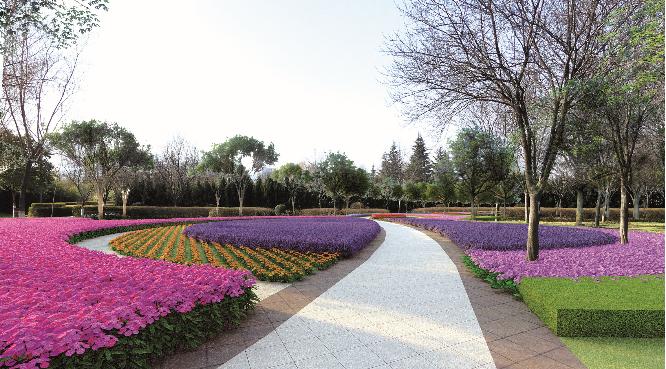 看花海何必去远方?宝鸡这幅“画卷”将让你感受诗情画意