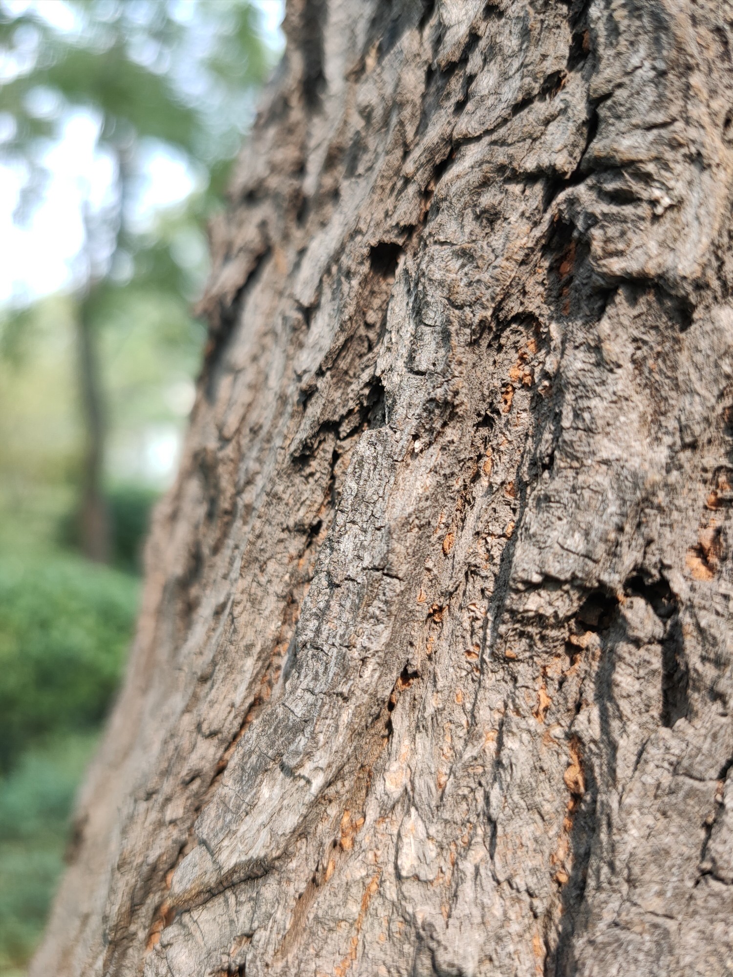 opporeno2测评是5g吗,opporeno2测评能开90帧吗