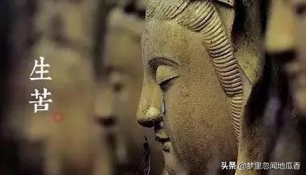 杂文讲究逻辑,杂文侃侃