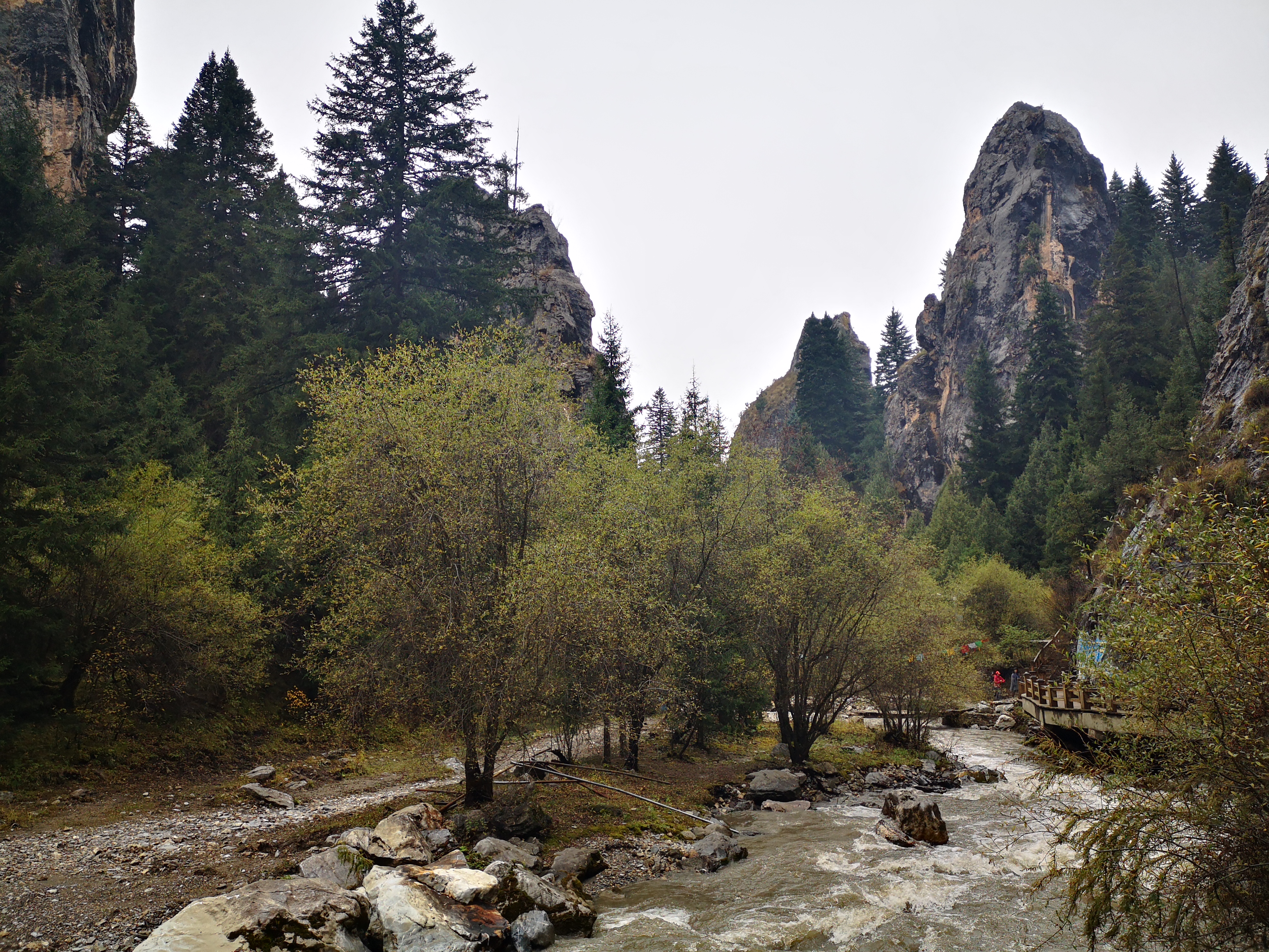 则岔石林游记,尕海湖和则岔石林