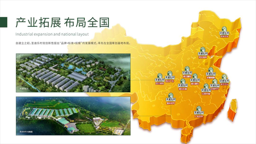 双十一品牌销售冠军,双十一销售额第一品牌