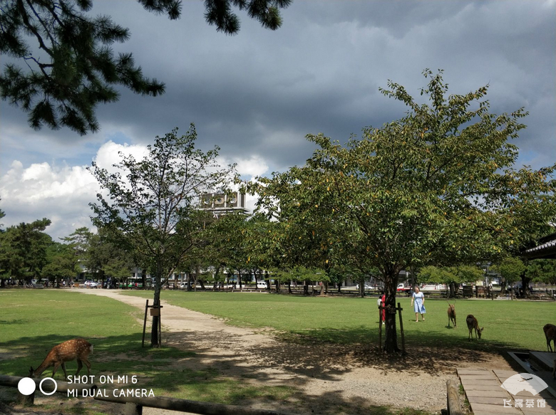 国航白金卡头等舱,国航白金卡选座