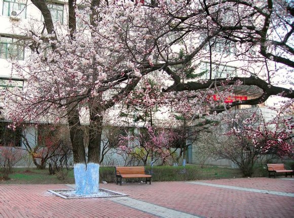 每日一校中国科学技术大学,每日一校浙江大学