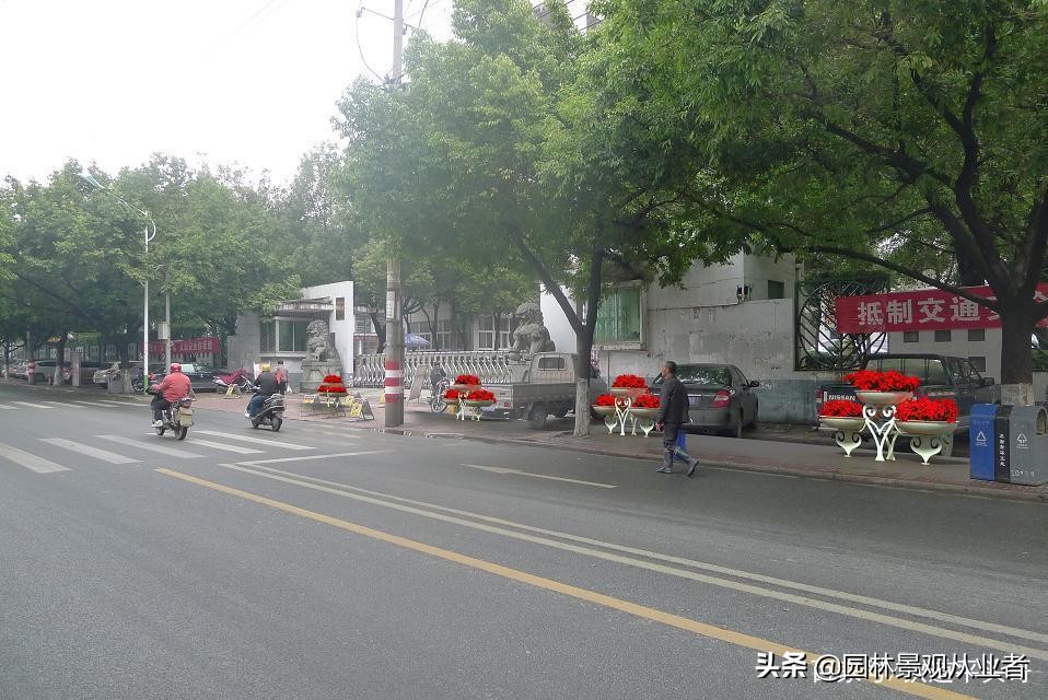 校园绿化思路,校园绿化设计方法