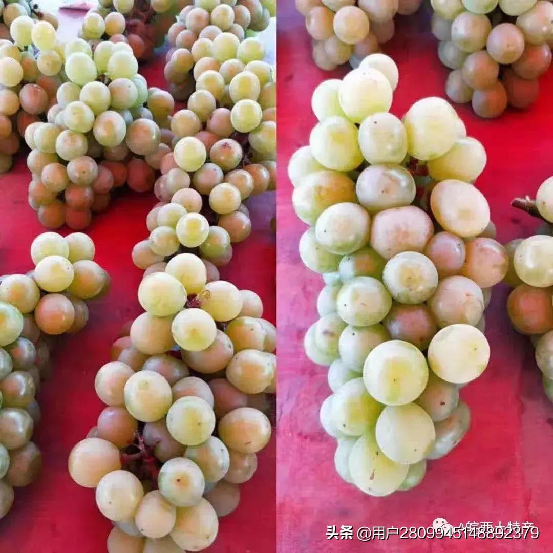 皖西农家土特产,皖西特产有哪些