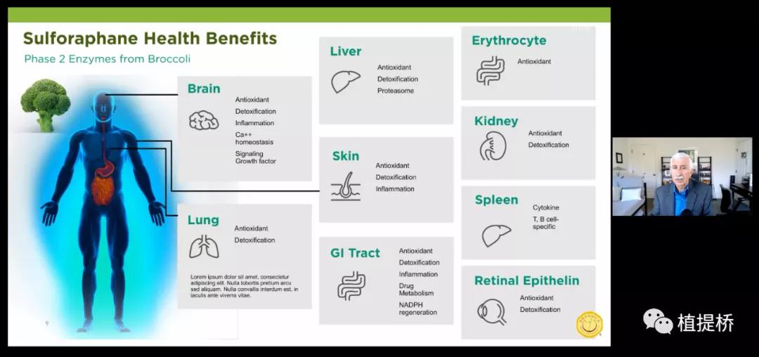 万字长文解读2021年功能原料创新|AAES2021创新路演专场(二)