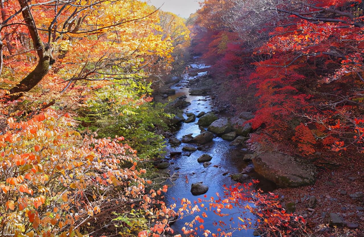 浅谈全国各省份,辽宁省本溪市地域分析