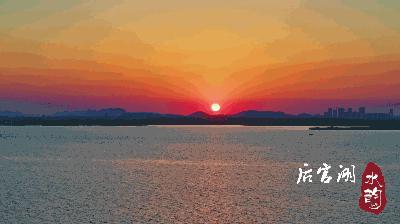 武汉蔡甸后官湖湿地公园,武汉后官湖湿地公园门票