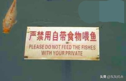 外国人吐槽中式英语搞笑,爆笑让外国人懵逼的中式英语