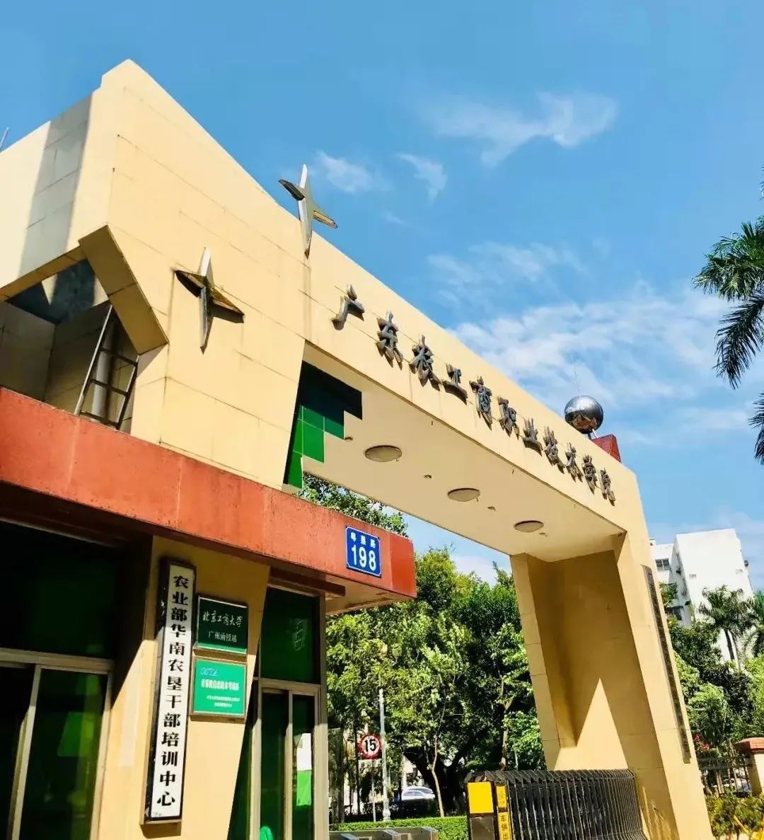 广东这几所大学考上就是金饭碗,广东最值得报考的十所大专院校