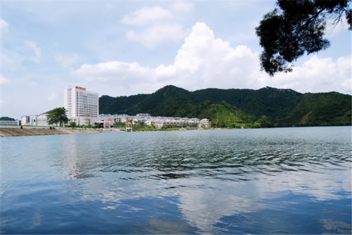 阳江海边旅游攻略路线推荐,楠溪江免费游最佳攻略