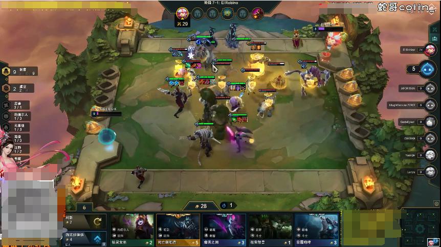 蛇哥云顶之弈女坦阵容,云顶之弈s6蛇哥常用阵容