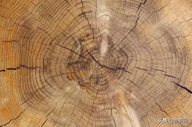 家具开裂变形的罪魁祸首是它？！