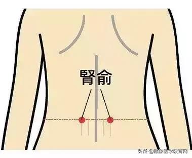 健康管理师需要哪些技巧,健康管理师基础知识100条