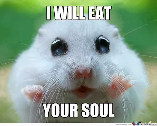 超详细自学软件测评｜小提琴/吉他/电子琴/尤克里里/电子鼓