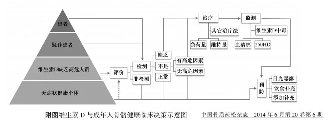 唯一需要补充的维生素d,补充维生素d有什么用处
