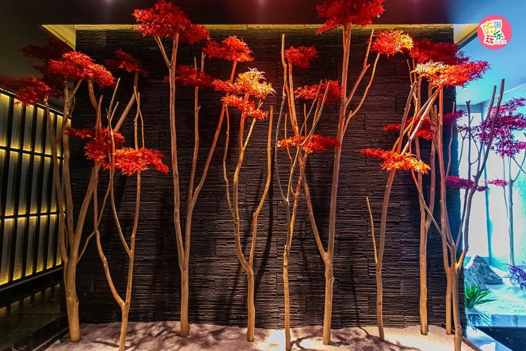 安庆皇朝足道正规吗,安庆足道spa养生会所怀宁