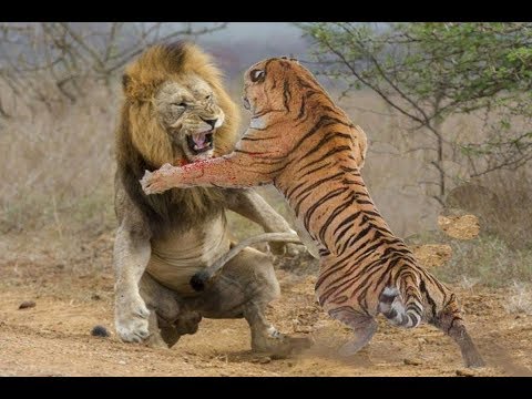 婚姻中的4大致命杀手,婚姻中最致命的女人