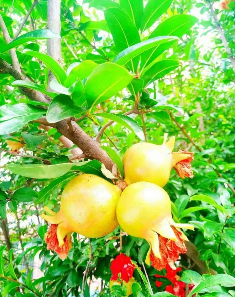 临颍：摄影家大咖走进三高，现场传授摄影秘籍