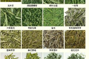 各种名茶样品,各种名茶及图片