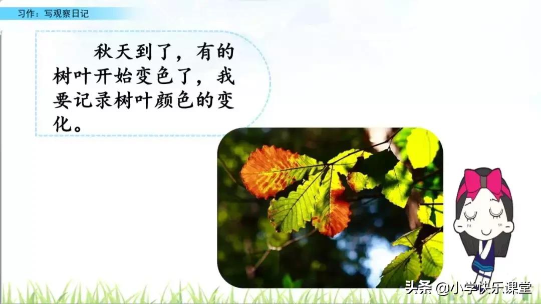 四年级语文第三单元观察日记作文,四年级观察日记400字优秀作文植物