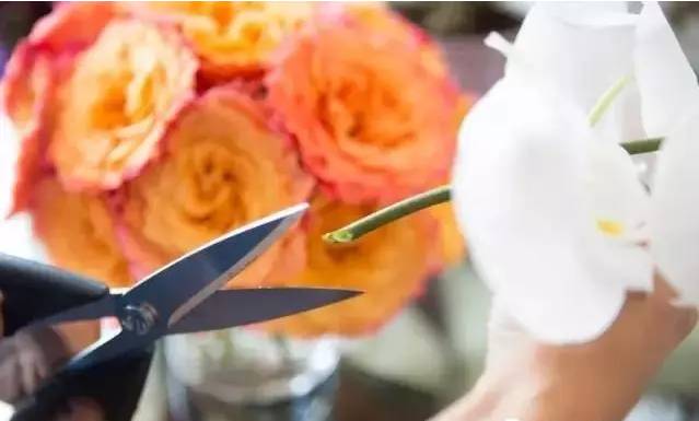 家庭简单花瓶插花技巧,10个简单易学的插花小技巧