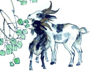 2019猪生肖每月运势李居明,2019特吉生肖运势