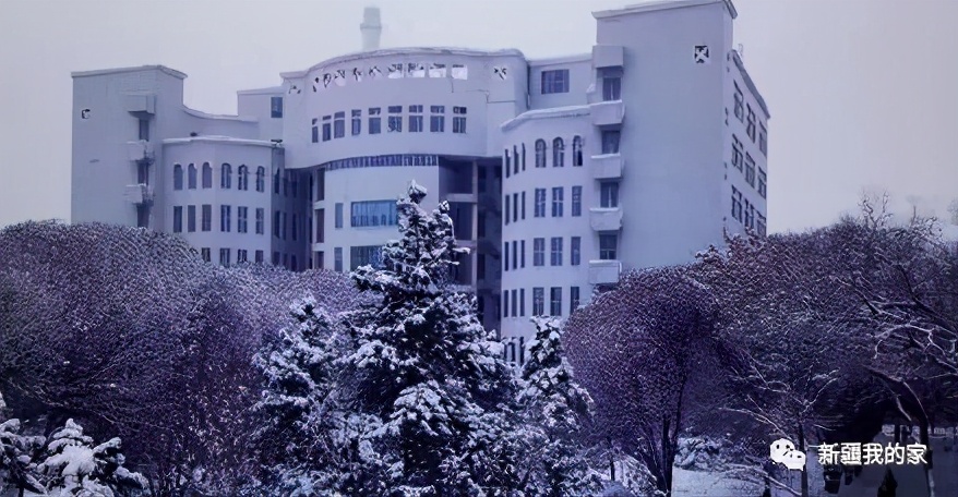 校园美食节登上热搜，*疆新**师范大学没想到你是这样的