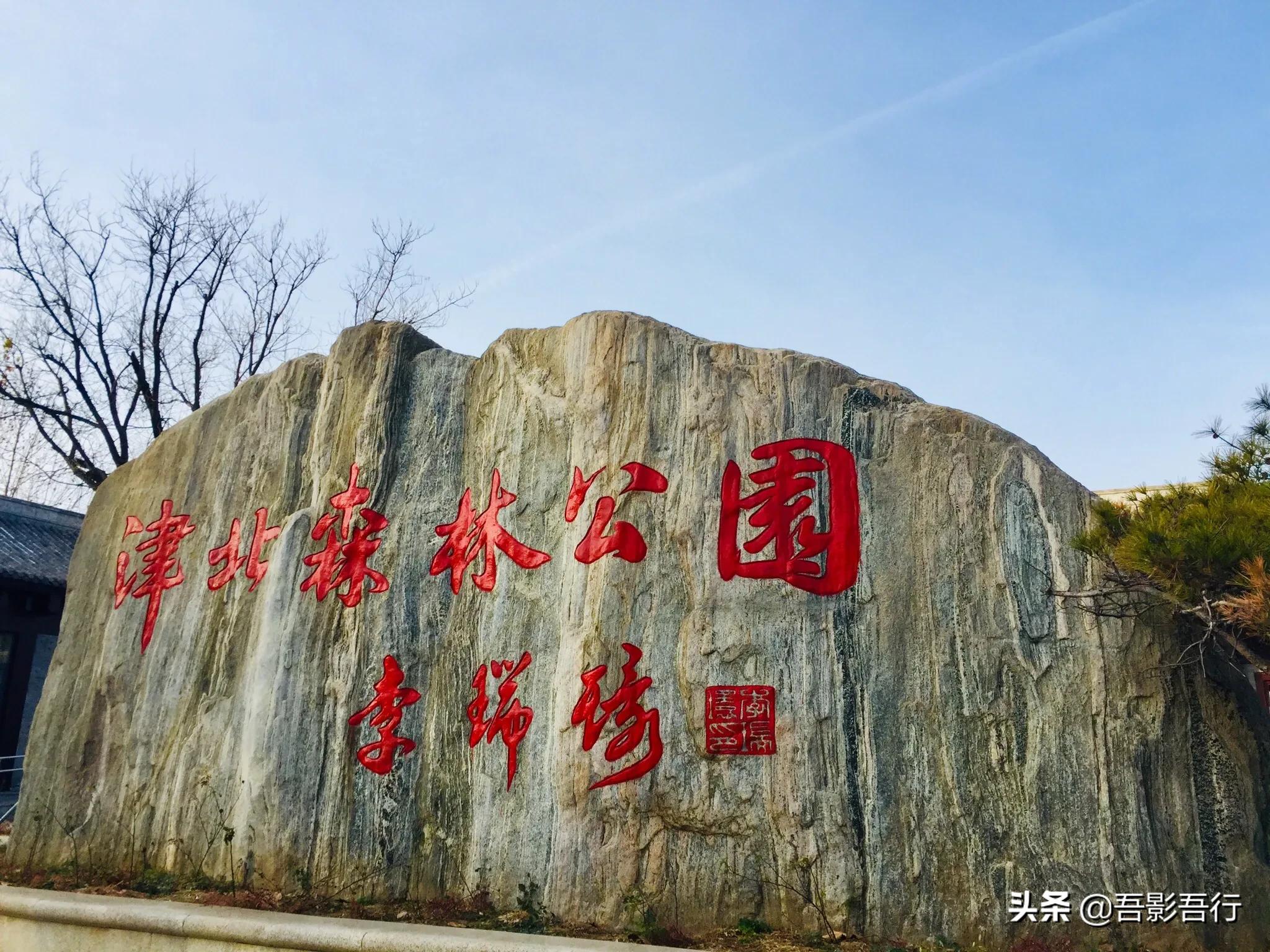 武清津北森林公园有哪些景色,天津武清森林公园开放时间表