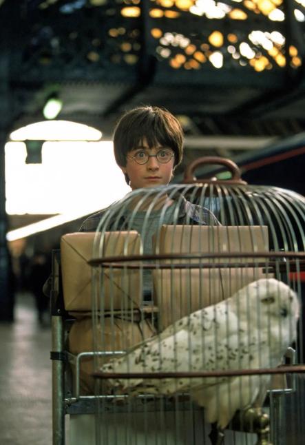 哈利波特新成就魔法史先行者,哈利波特最近一季