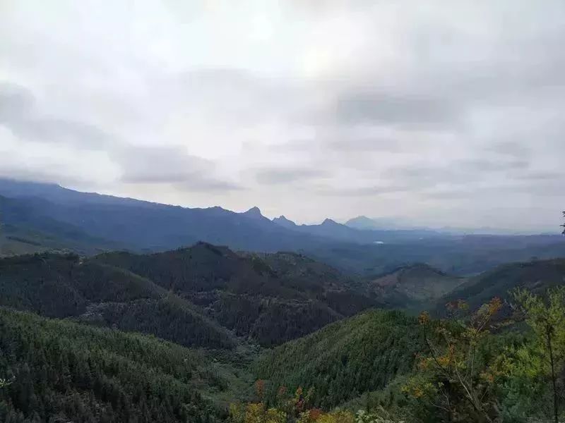 广东省徒步的好地方,广东哪里地方适合周末自驾游