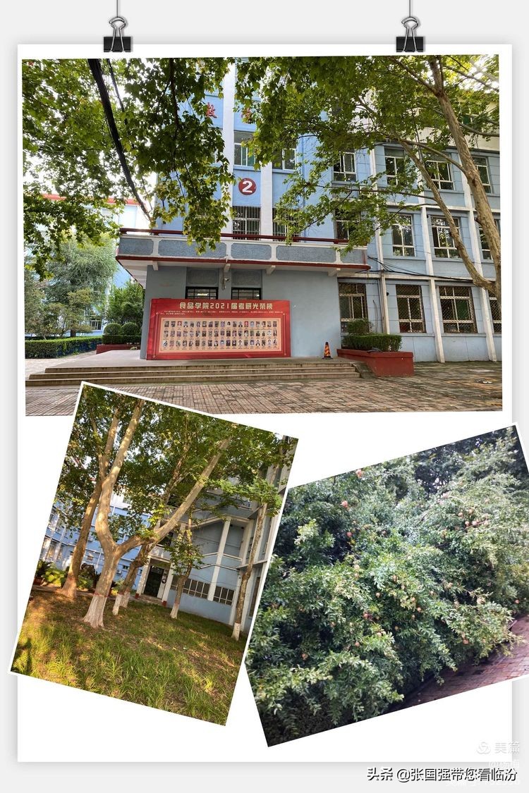 山西师范大学记忆馆,再回首山西师范大学