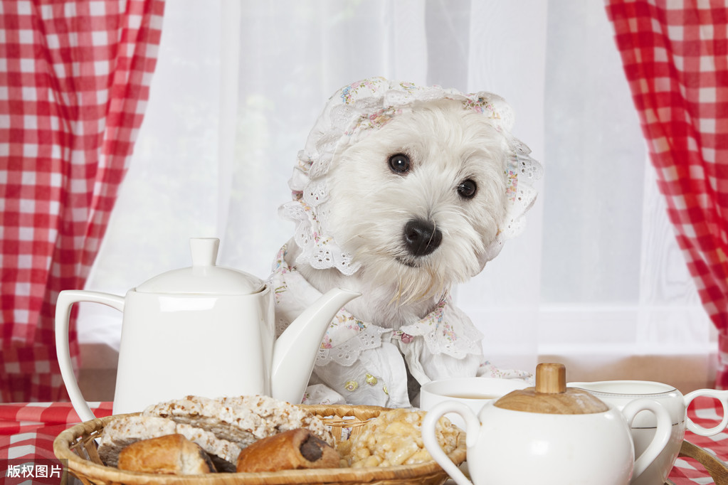 生活小知识：厨房的地板潮湿怎么办？七招教你解决烦恼