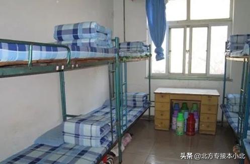 京东宝地和北方瓷都之上的学院——五大类专业招生均衡，名额超多