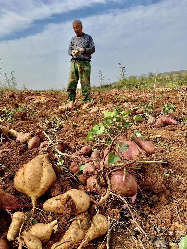 洛阳市宜阳凤凰岭射箭,宜阳县凤凰岭体育基地