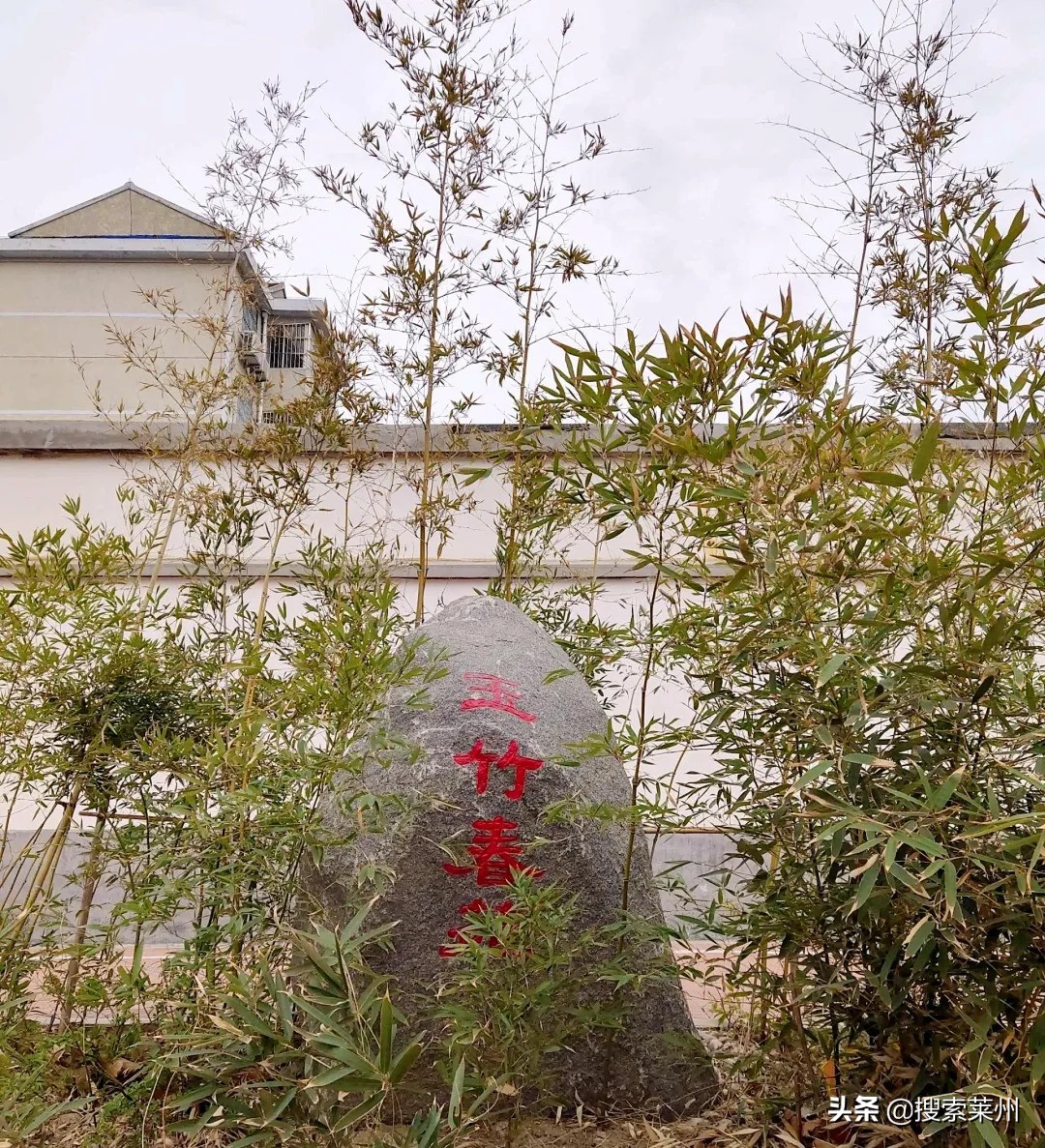 春满校园春暖花开,沙河镇中心小学校园