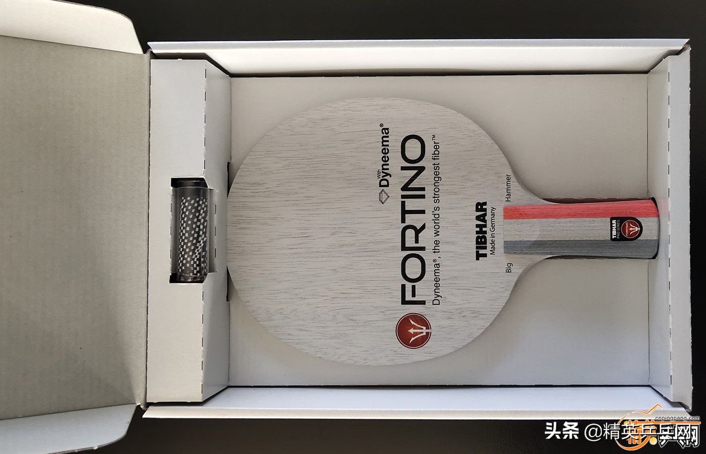 新纤维！新能量！萨姆索诺夫佛迪诺（Fortino）PRO终极甄选