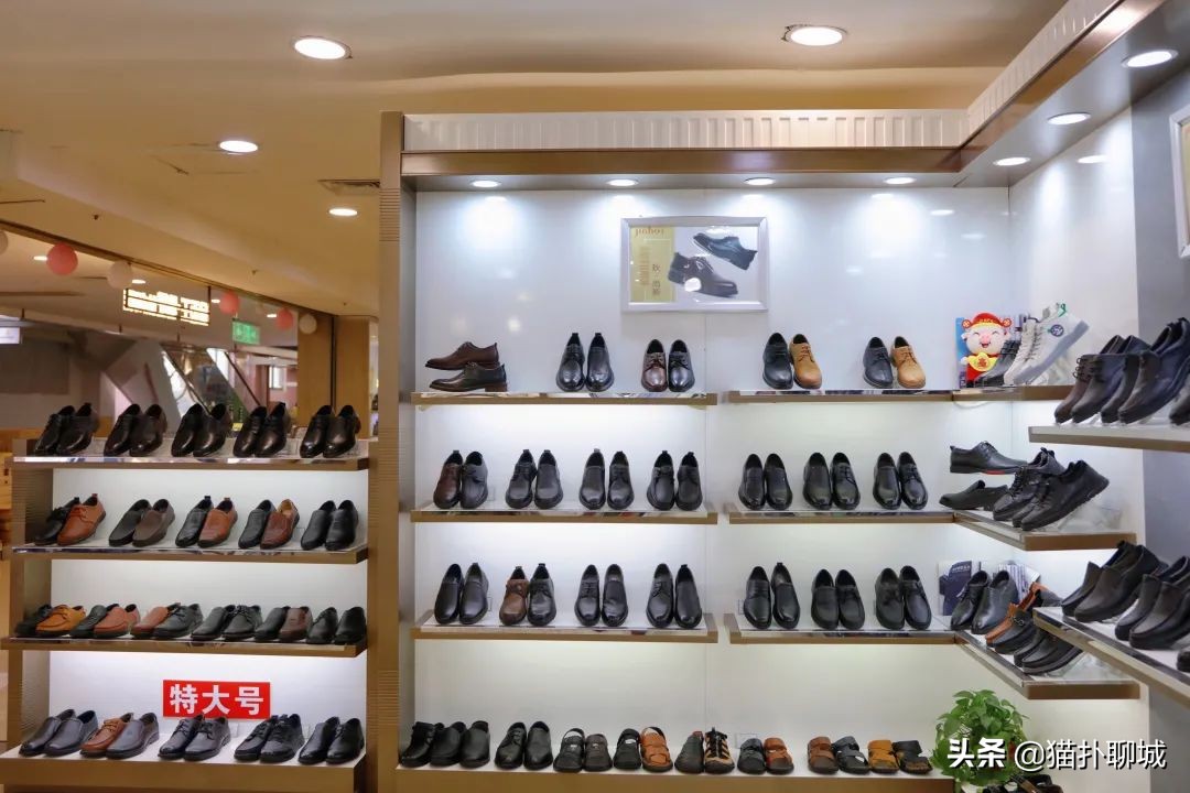 鞋子春天新款女鞋小白鞋,春夏秋都可以穿的小白鞋