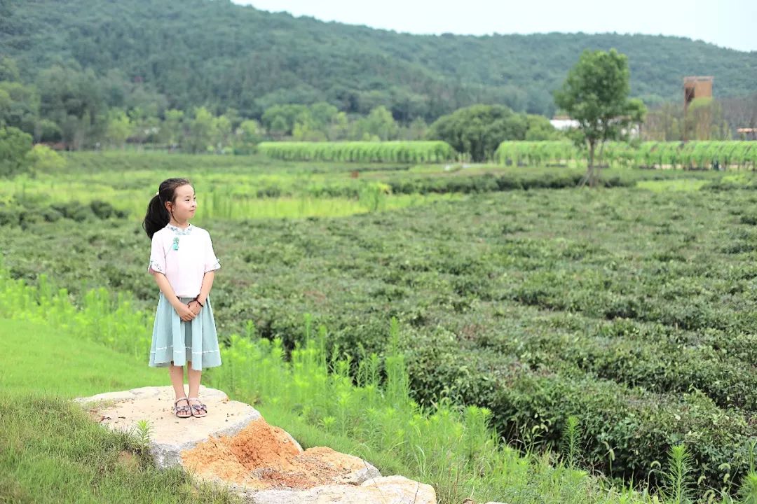 房车露营旅行推荐,自驾出游露营野炊房车营地