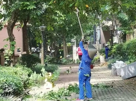 鍝佽川铚曞彉,鍝佽川铦跺彉