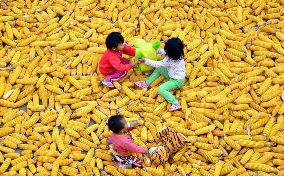 为什么都说六月份出生的孩子有福,孩子生在农历冬月份好吗