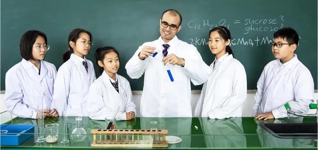 力迈中美,力迈中美国际学校口碑