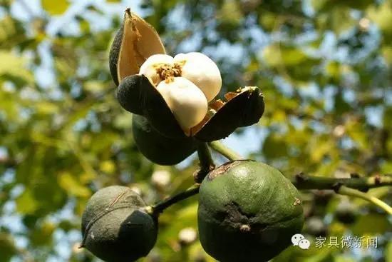 涂料100种常识,涂料常见知识