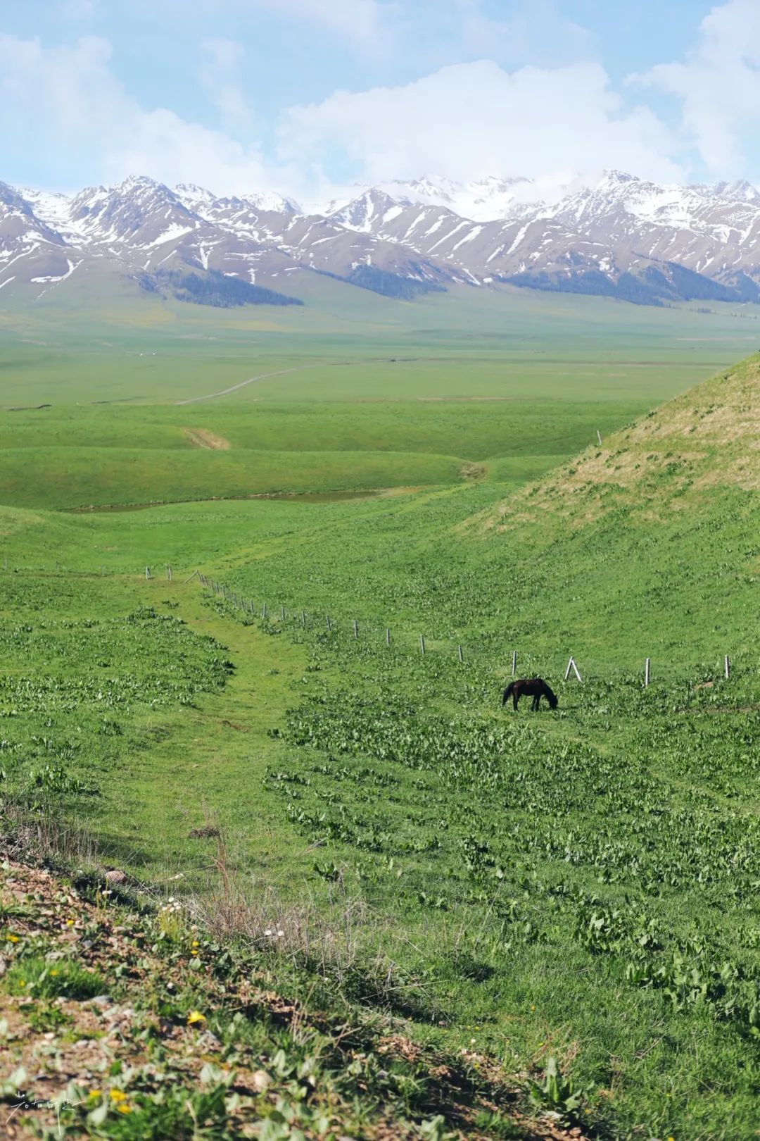 那拉提草原旅游徒步攻略,如何游玩那拉提