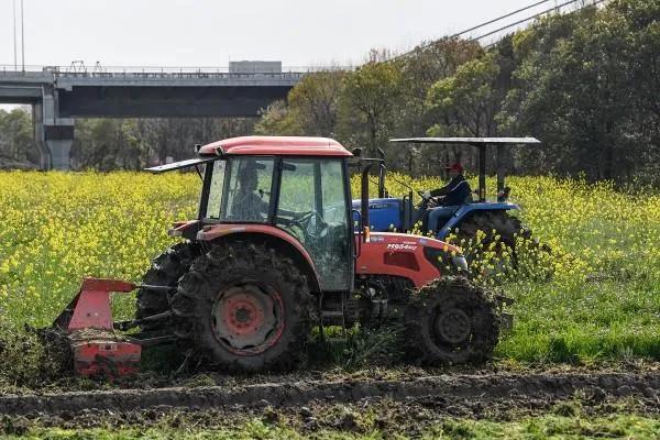 不减产不减量！疫情下，家庭农场主们这样忙活“生意经”